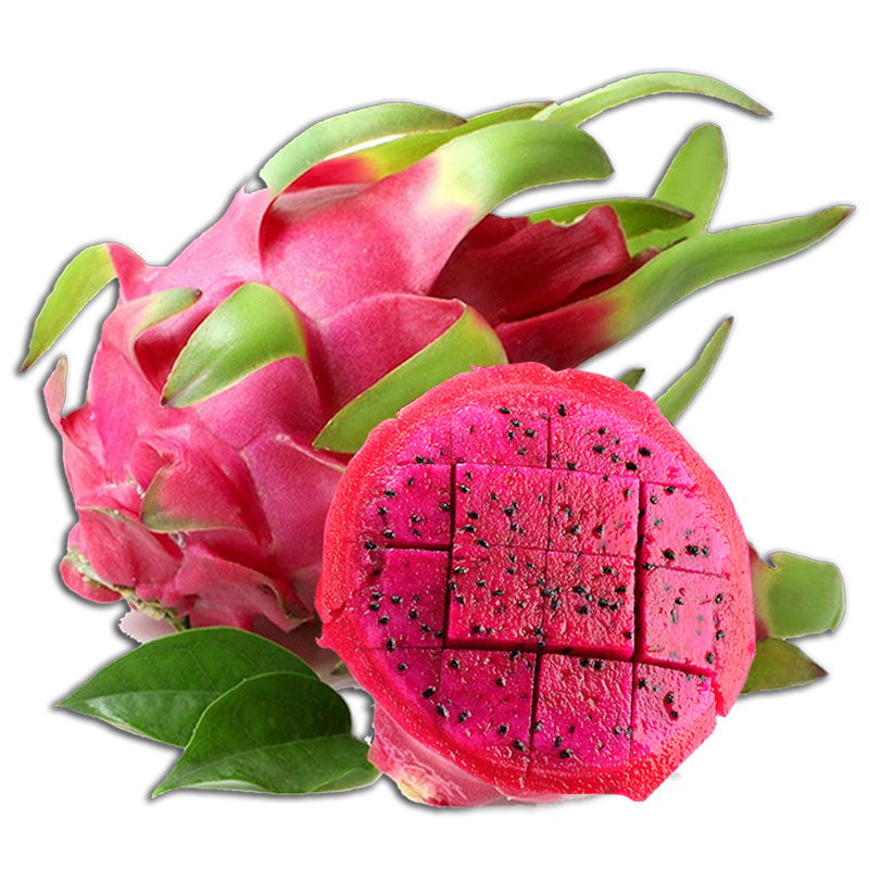 临特热带水果火龙果